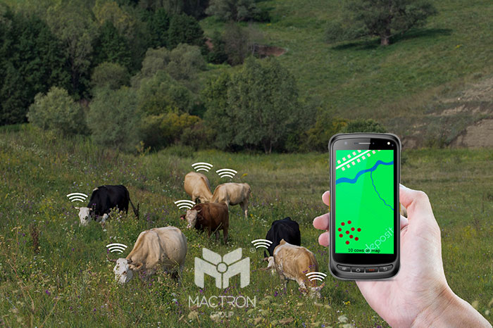 Livestock management => HF RFID